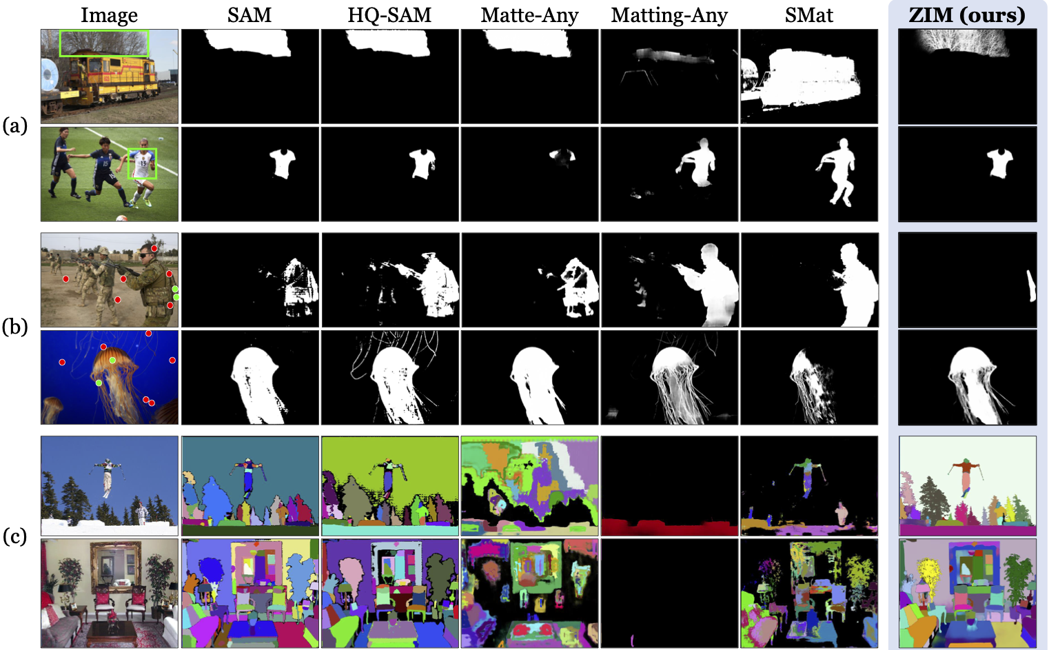 Teaser image demonstrating improvements on ZIM.